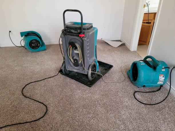 Best Commercial water damage restoration  in Whitfield, FL
