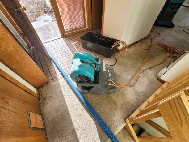 Best 24/7 water damage repair  in Whitfield, FL