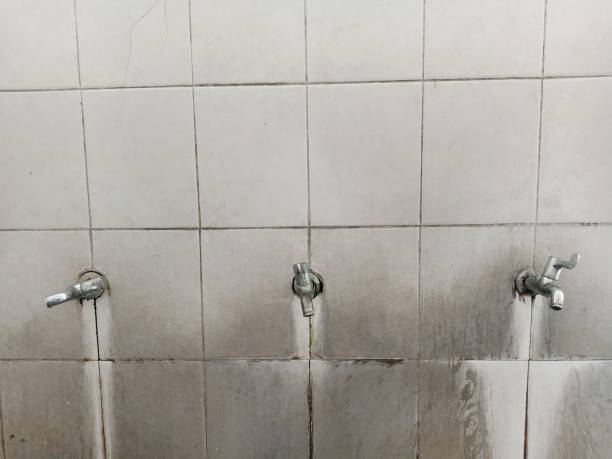 Best Water damage contractors near me  in Whitfield, FL