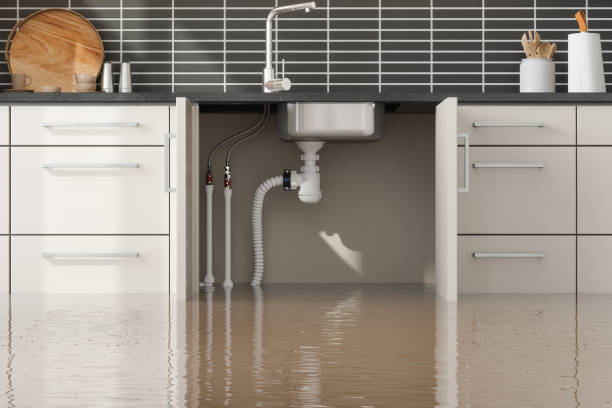 Best Professional water damage repair  in Whitfield, FL